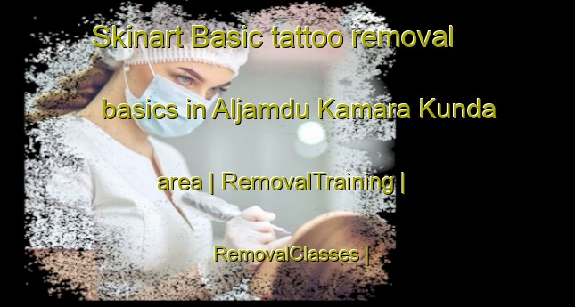 Skinart Basic tattoo removal basics in Aljamdu Kamara Kunda area | RemovalTraining | RemovalClasses | SkinartTraining-Gambia